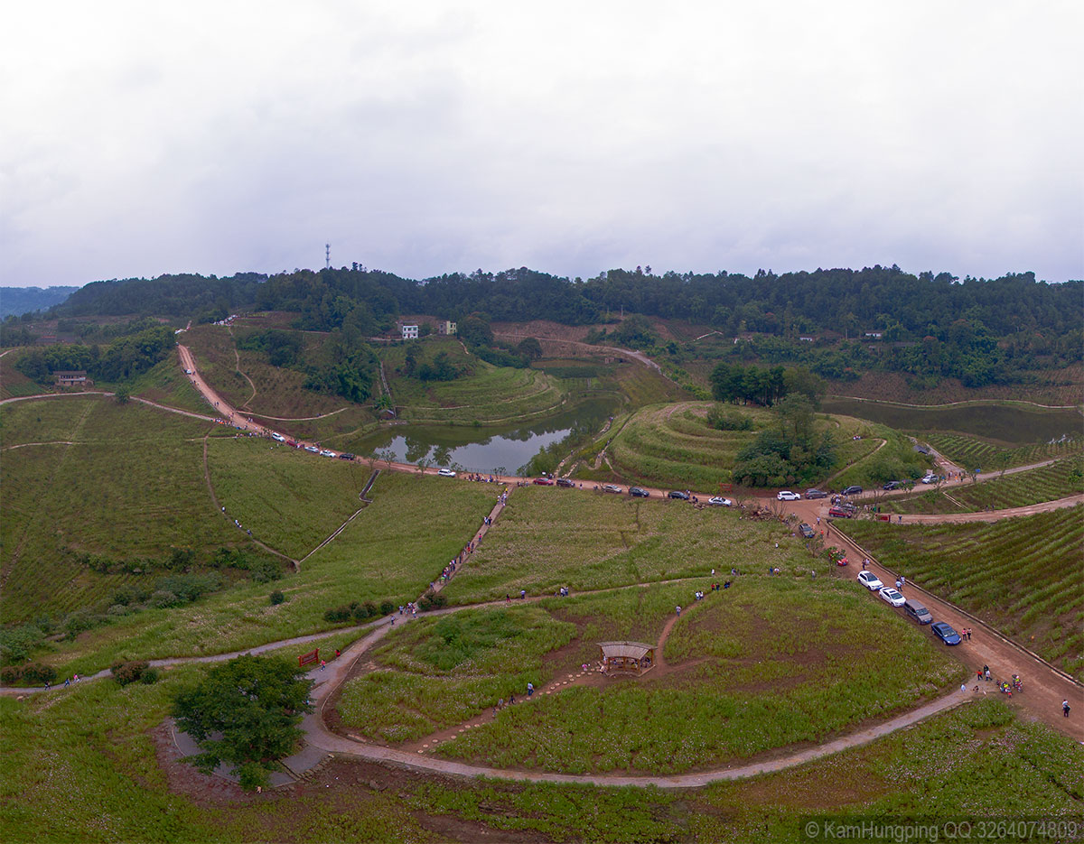 2015-09-20巴南二圣天坪山格山花_全景04.jpg