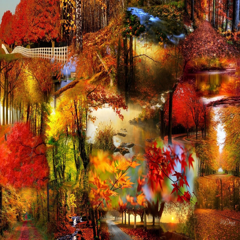 bright-autumn-collage-1080P-wallpaper.jpg