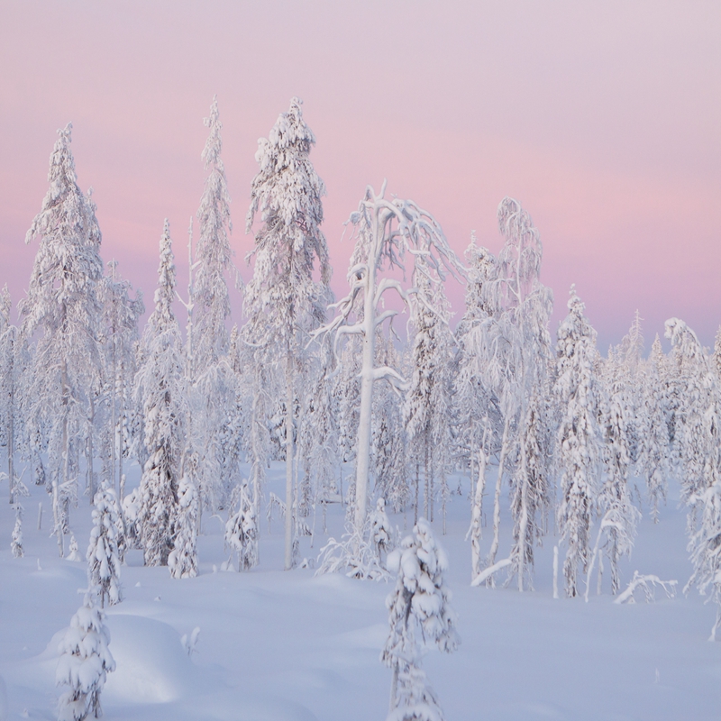 kuusamo-winter-landscape-17-by-olli-lamminsalo_27518008935_o.jpg