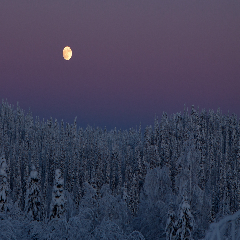 winter-landscape-2-4-by-olli-lamminsalo_27483656616_o.jpg