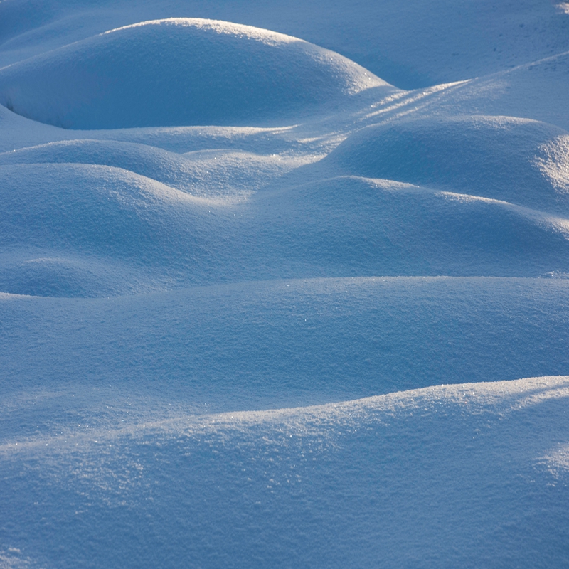 winter-snow-5493-by-jari-peltomki_27483629736_o.jpg